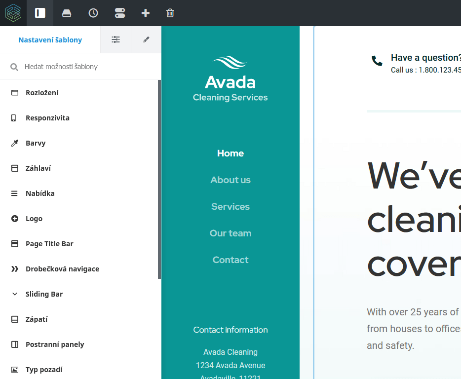 WordPress šablóna Avada - recenzia - Fusion Theme nastavenia